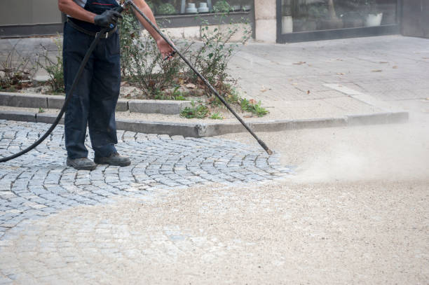 Best Fence Cleaning  in Katy, TX